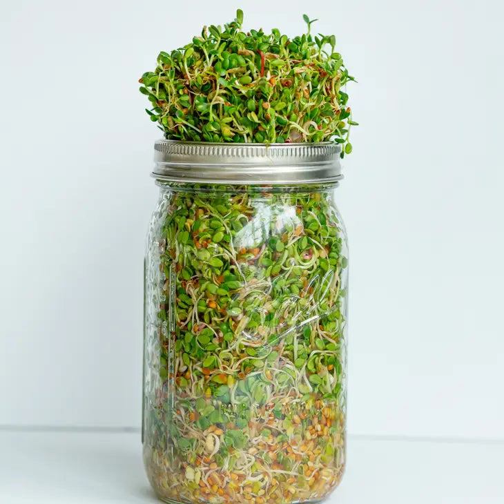 Sprouting Kit Jar Grow Your Own Revival