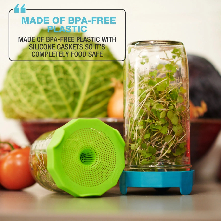 Sprouting Lid 2 Pack Bean Screen