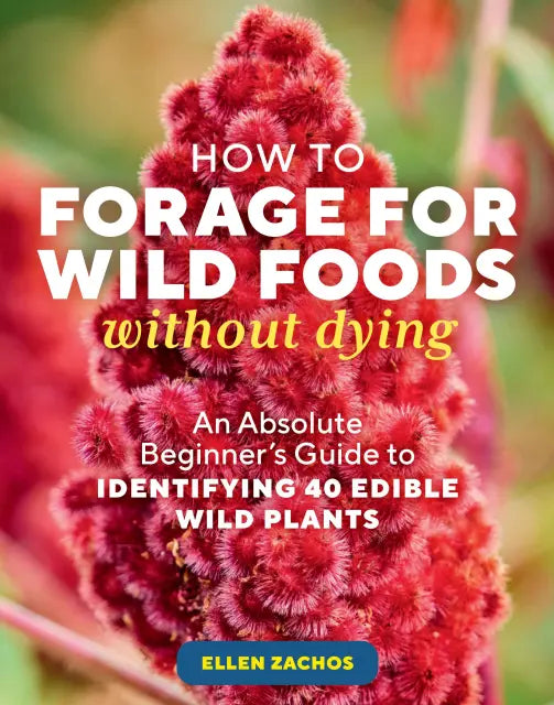 HOW TO FORAGE FOR WILD FOODS WITHOUT DYING