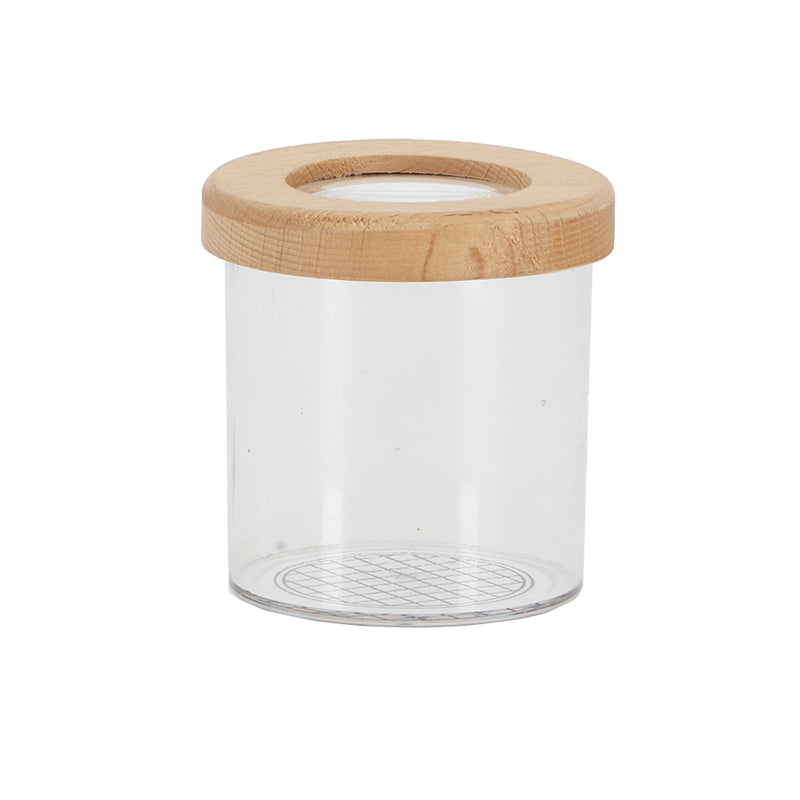 Insect Study Jar Wood Lid