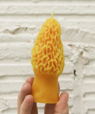 Candle Beeswax Morel LG