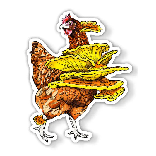 Vinyl sticker of a hen with chicken of the woods mushrooms growing out of her.