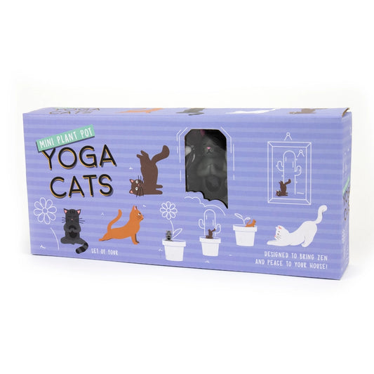 Box reading "Yoga Cats" with one of the cats visible inside. The cat's eyes are closed and it has its hands folded in prayer.