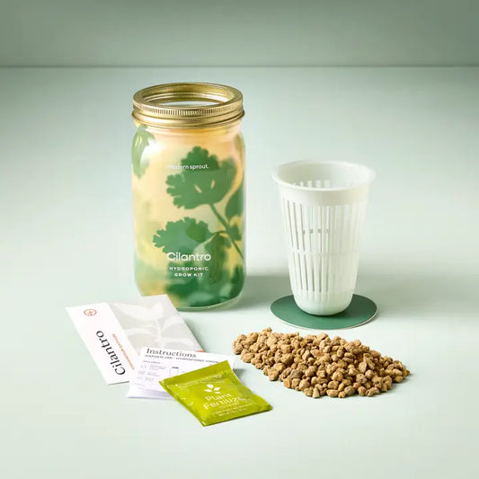 Mason Jar Grow Kit Cilantro