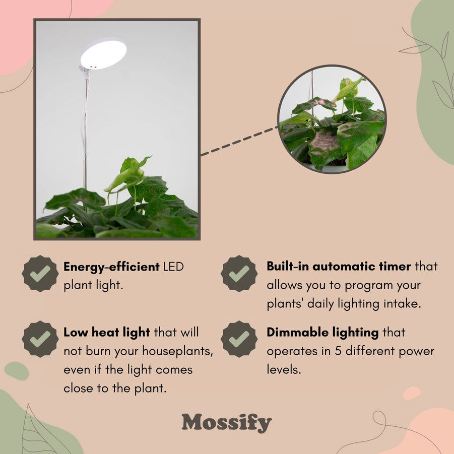 Grow Light Adjustable LED White Mossify Auto Timer