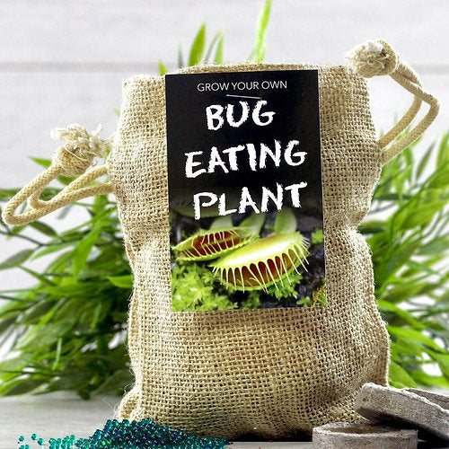 Grow Kit Venus Fly Trap Jute Bag